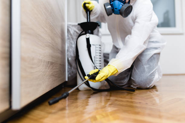 Best Cockroach Control Services  in Silver Lake, OH