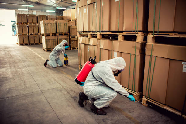 Best Local Pest Control Services  in Silver Lake, OH