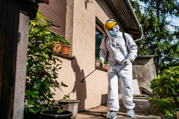 Trusted Silver Lake, OH Pest Control Experts