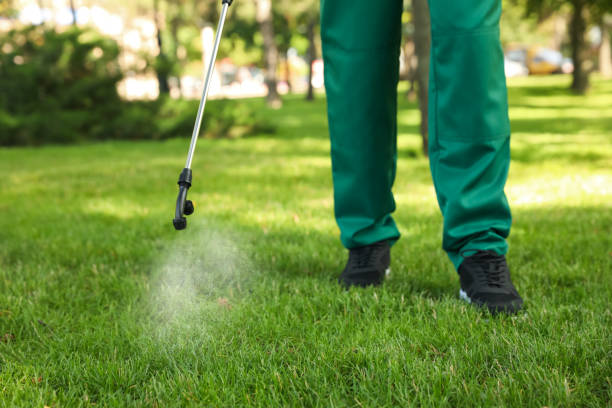Best Best Pest Control Companies  in Silver Lake, OH