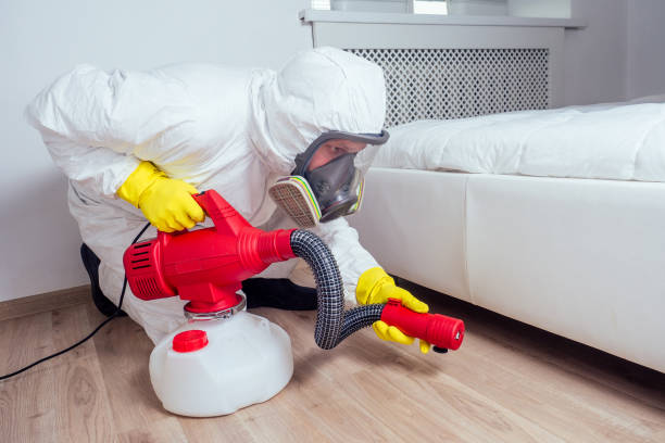 Best Local Pest Control Services  in Silver Lake, OH