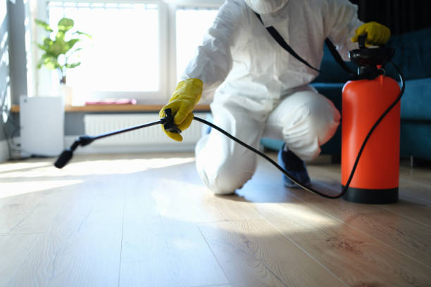 Best Flea Control Services  in Silver Lake, OH