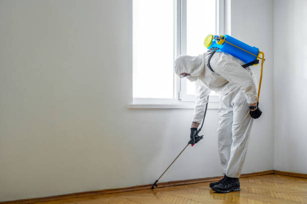 Best Pest Inspection Near Me  in Silver Lake, OH