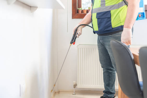 Best Ant Control Services  in Silver Lake, OH