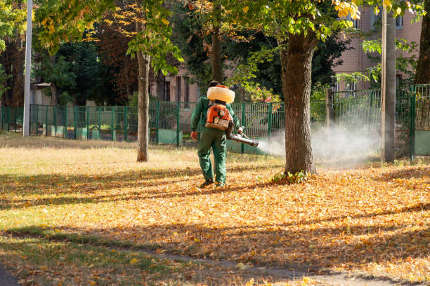 Best Spider Control Near Me  in Silver Lake, OH