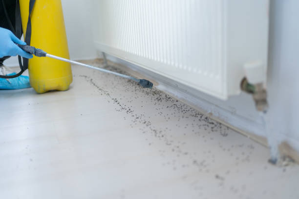 Best Mosquito Control Services  in Silver Lake, OH