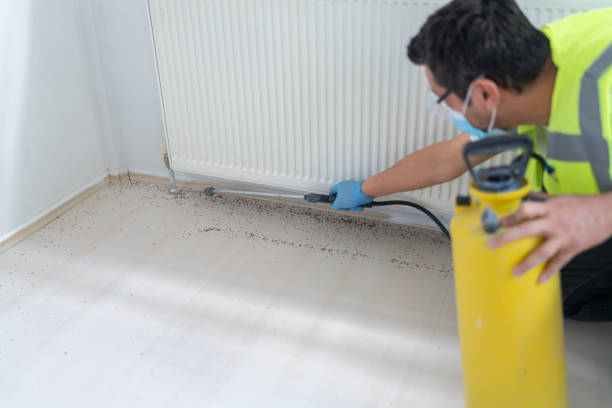 Best Pest Inspection Near Me  in Silver Lake, OH