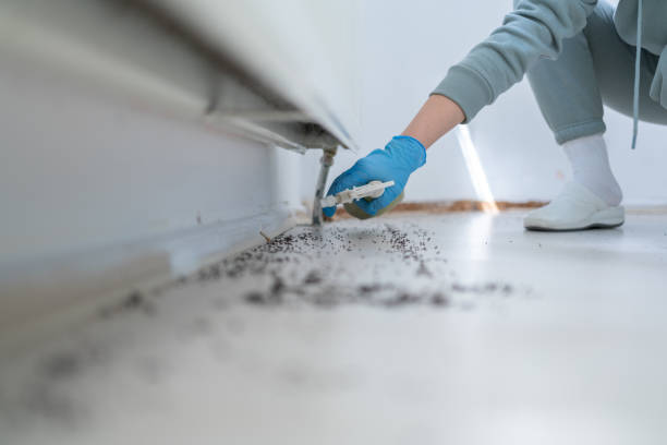 Best Pest Prevention Services  in Silver Lake, OH